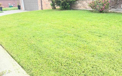 Photo of Jesus M.'s yard after getting lawn care in Windsor Locks, CT