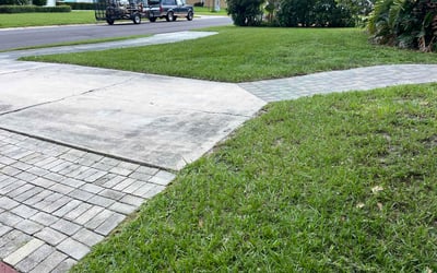 Photo of Brianna K.'s yard after getting lawn care in Dacula, GA