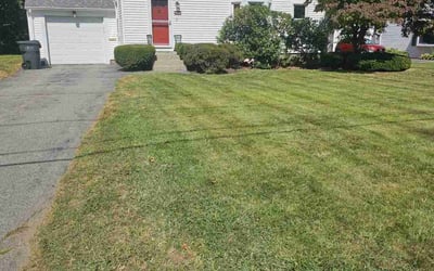 Photo of Sara B.'s yard after getting lawn care in Auburn, MA