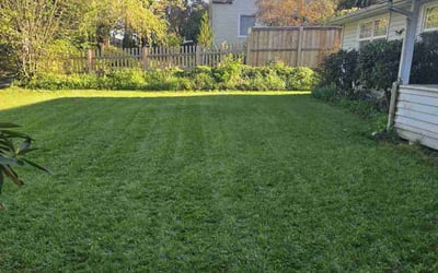 Photo of Donna E.'s yard after getting lawn care in Bull Mountain, OR