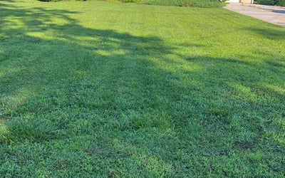 Photo of Nicole M.'s yard after getting lawn care in Monroe, GA