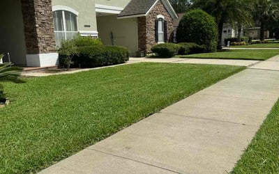 Photo of Lourdes G.'s yard after getting lawn care in Quincy, FL