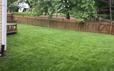 Photo of Zach G.'s yard after getting lawn care in Laurel, MD