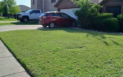 Photo of Karla K.'s yard after getting lawn care in Helotes, TX