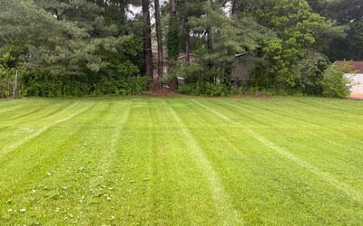 Photo of Janei F.'s yard after getting lawn care in Statesville, NC