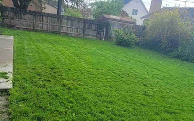 Photo of Kandice V.'s yard after getting lawn care in Bountiful, UT