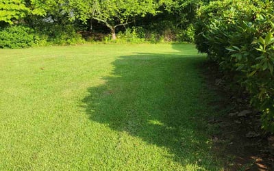 Photo of Vyan A.'s yard after getting lawn care in Grayson, GA