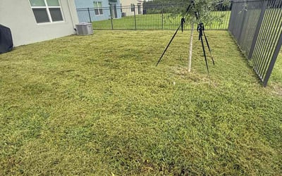 Photo of Tresa R.'s yard after getting lawn care in Telford, PA