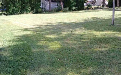 Photo of Halla A.'s yard after getting lawn care in Swartz Creek, MI