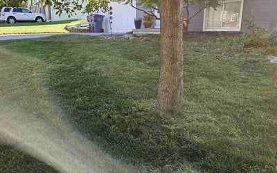 Photo of Robert M.'s yard after getting lawn care in New Brighton, PA