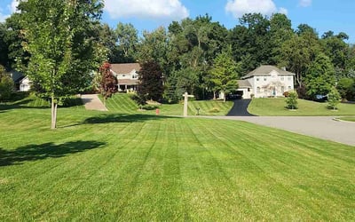 Photo of Jeff g.'s yard after getting lawn care in Rockford, MI