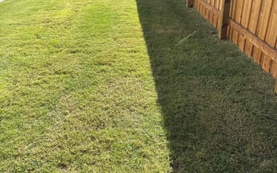 Photo of David Y.'s yard after getting lawn care in Mansfield Center, CT
