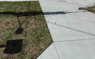 Photo of Betsy H.'s yard after getting lawn care in Redmond, WA