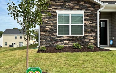 Photo of Mike R.'s yard after getting lawn care in Oregon City, OR