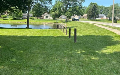 Photo of Kayla R.'s yard after getting lawn care in Springfield, IL