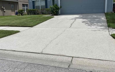 Photo of Rebecca R.'s yard after getting lawn care in Lehigh Acres, FL