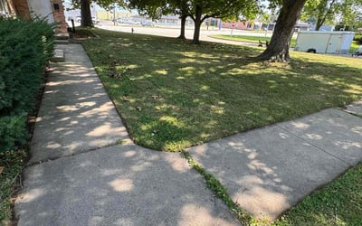 Photo of Charlotte F.'s yard after getting lawn care in Champaign, IL