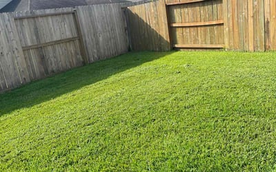 Photo of Alberta L.'s yard after getting lawn care in Lowell, MA