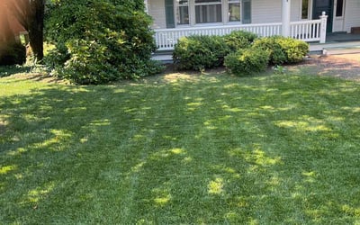 Photo of Susan K.'s yard after getting lawn care in Culpeper, VA