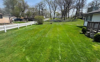 Photo of Patricia B.'s yard after getting lawn care in Cedar Lake, IN