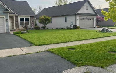 Photo of Todd F.'s yard after getting lawn care in Gonzales, LA