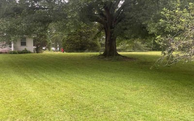 Photo of Joseph M.'s yard after getting lawn care in Duxbury, MA