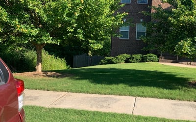 Photo of Michelle Y.'s yard after getting lawn care in Randolph, NJ