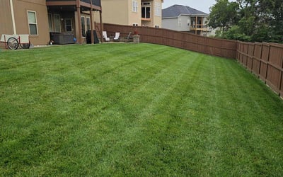 Photo of Kathryne R.'s yard after getting lawn care in Mobile, AL