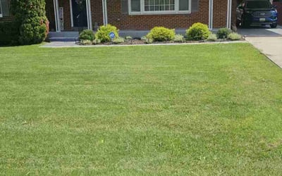 Photo of Valeria M.'s yard after getting lawn care in Vidor, TX