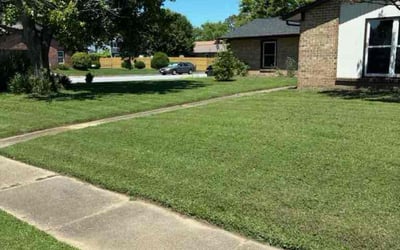 Photo of Karin K.'s yard after getting lawn care in Highland Springs, VA