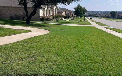 Photo of Cindy P.'s yard after getting lawn care in Killeen, TX