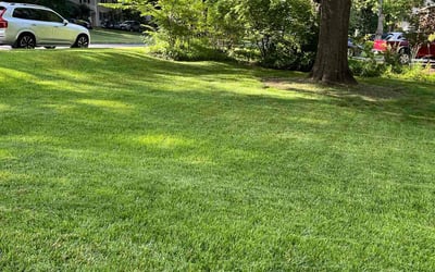 Photo of Andrew A.'s yard after getting lawn care in Taylor, MI
