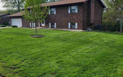 Photo of Sam K.'s yard after getting lawn care in Collinsville, IL