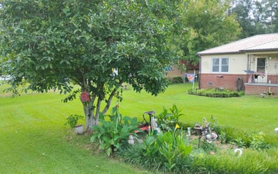 Photo of Scott S.'s yard after getting lawn care in Sand Springs, OK