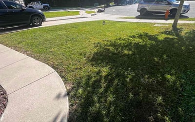 Photo of Justin L.'s yard after getting lawn care in Baltimore, MD