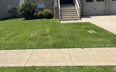 Photo of Rayanne J.'s yard after getting lawn care in Antioch, TN