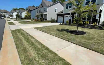Photo of Caitlin M.'s yard after getting lawn care in York, SC