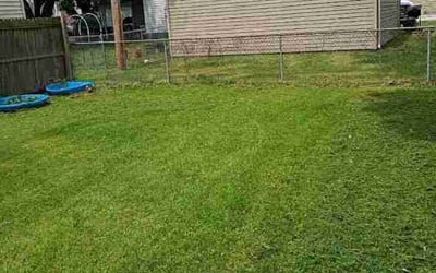 Photo of Julie C.'s yard after getting lawn care in Foxboro, MA