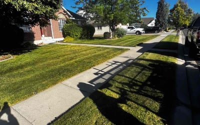 Photo of Crystal A.'s yard after getting lawn care in Oak Park, MI