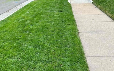 Photo of Chuck L.'s yard after getting lawn care in Lafayette, CO