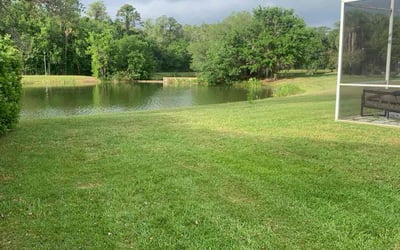 Photo of Thomas J.'s yard after getting tree care in Fairborn, OH