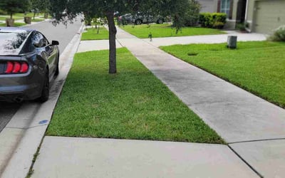 Photo of Rodrigo S.'s yard after getting lawn care in Davenport, FL