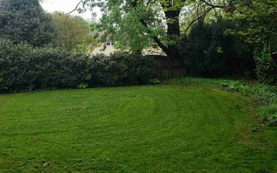 Photo of Nancy T.'s yard after getting lawn care in Beverly, NJ