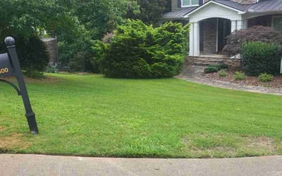 Photo of Fatima M.'s yard after getting lawn care in Canton, GA