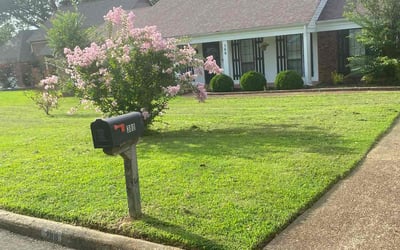 Photo of Adaja W.'s yard after getting lawn care in Shreveport, LA