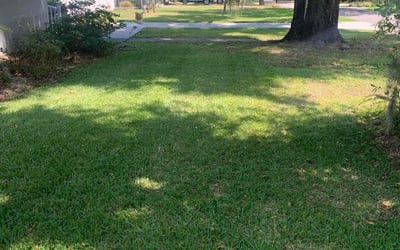Photo of Iryna S.'s yard after getting lawn care in Bartow, FL