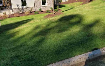 Photo of Samantha G.'s yard after getting lawn care in Pittsboro, NC