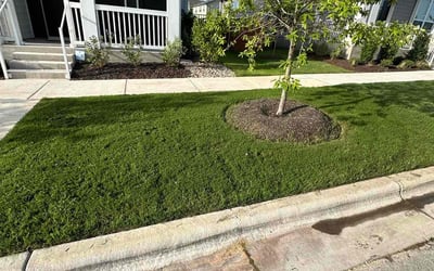 Photo of Katherine S.'s yard after getting lawn care in Clarkston, MI
