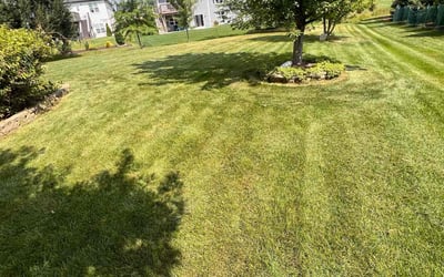 Photo of Danielle M.'s yard after getting lawn care in Kenosha, WI