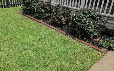 Photo of Alyssa P.'s yard after getting lawn care in Mount Pleasant, PA
